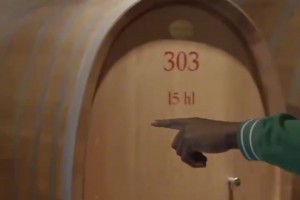 吉米和好友去酒庄 不忘给库里带一桶“给30号 我的控球后卫”